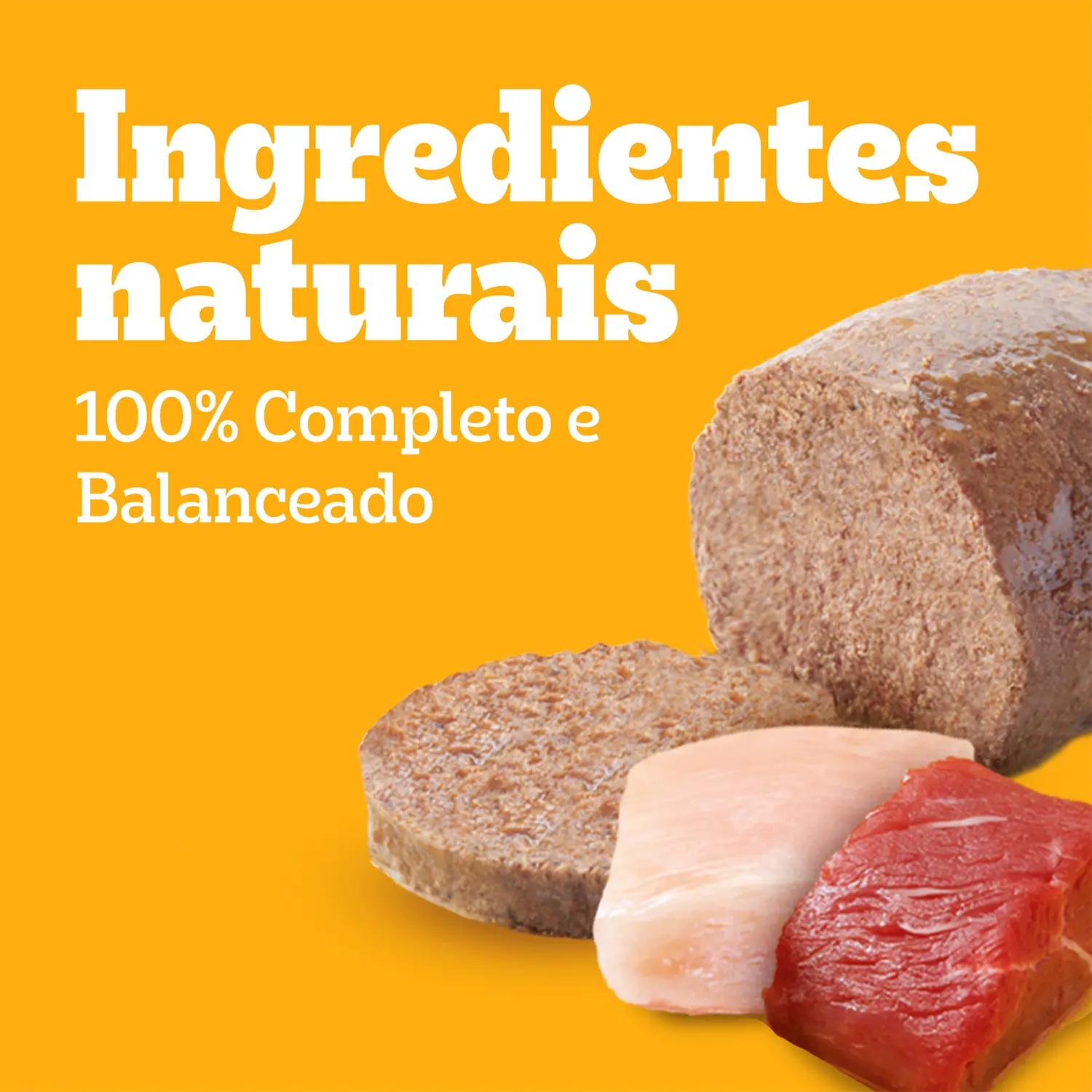 Ração Úmida Pedigree para Cães Filhotes Lata Patê de Carne e Frango